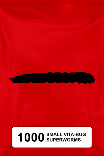 A black silhouette of a superworm on a red background. 