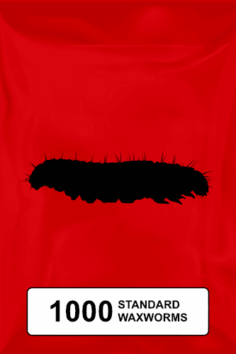 A black silhouette of a standard waxworm on a red background.  - Thumbnail 1