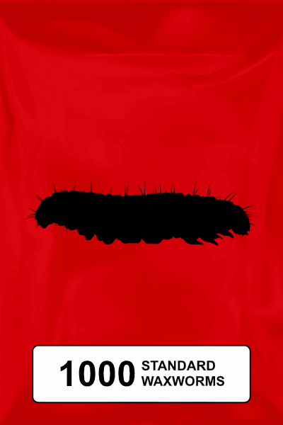 A black silhouette of a standard waxworm on a red background. 