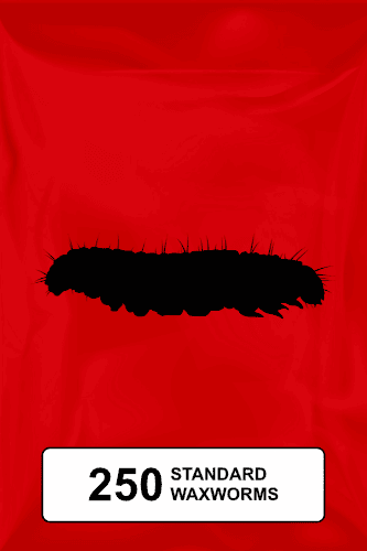A black silhouette of a standard waxworm on a red background.  - Thumbnail 1