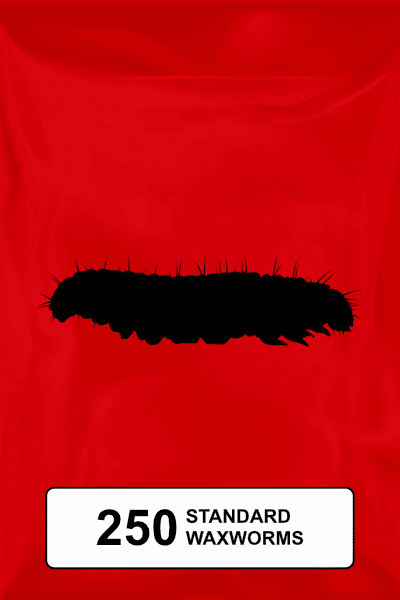 A black silhouette of a standard waxworm on a red background. 