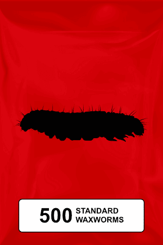 A black silhouette of a standard waxworm on a red background.  - Thumbnail 1