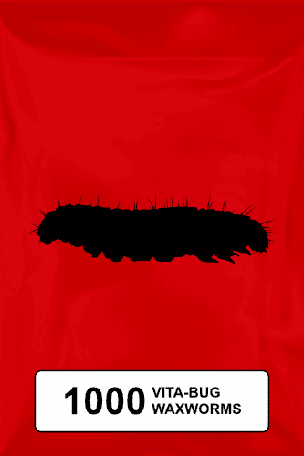 A black silhouette of a standard waxworm on a red background. 