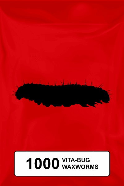 A black silhouette of a standard waxworm on a red background. 