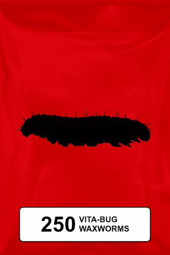 A black silhouette of a standard waxworm on a red background. 