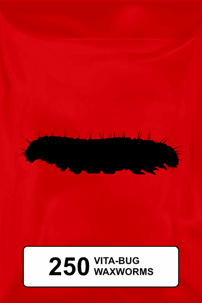 A black silhouette of a standard waxworm on a red background. 