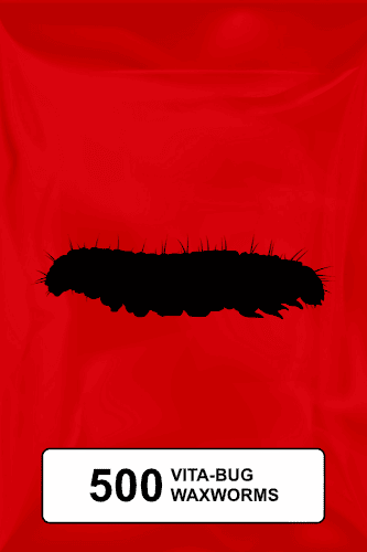 A black silhouette of a standard waxworm on a red background. 