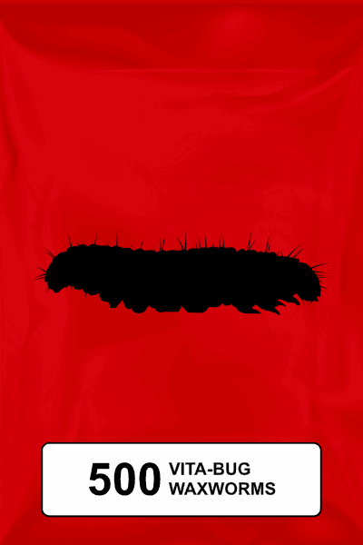 A black silhouette of a standard waxworm on a red background. 
