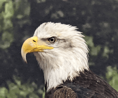 Land On Sky Wildlife Experiences