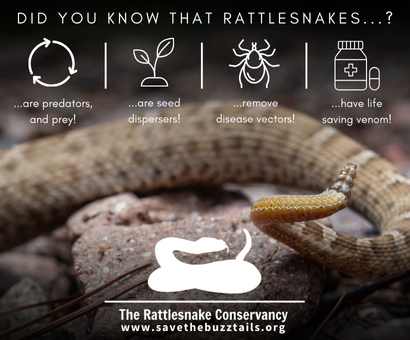 The Rattlesnake Conservancy
